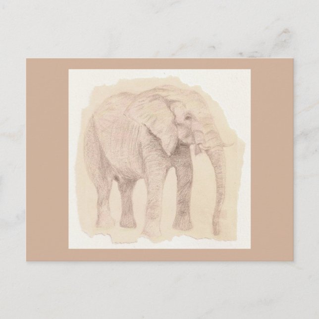 Elephant Art Sketch Postkarte (Vorderseite)