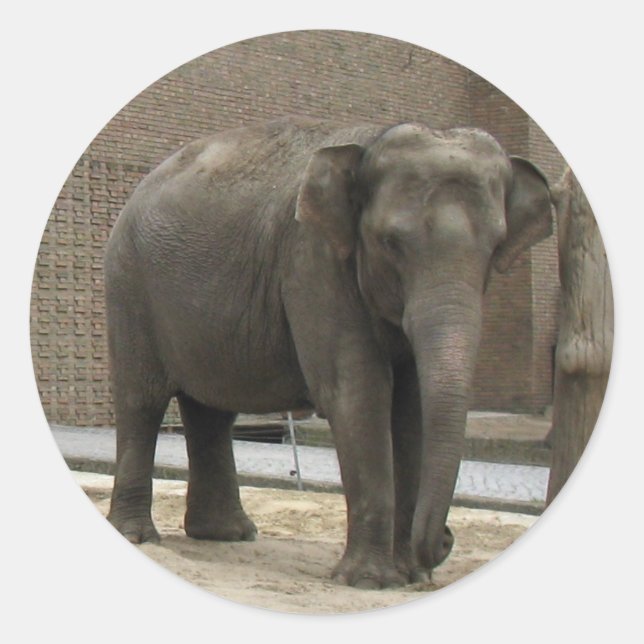 ELEPHANT-Aufkleber Runder Aufkleber (Vorderseite)