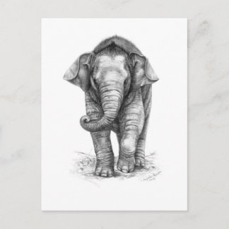 Elephant Baby Design von Schukina G046 Postkarte