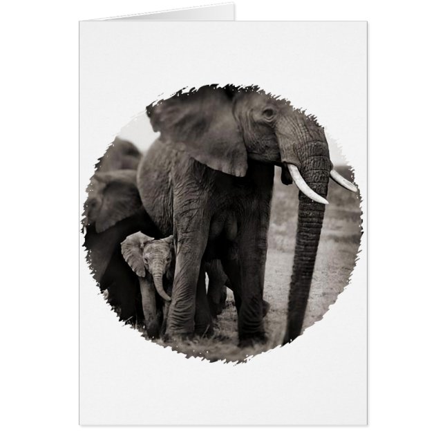 Elephant & Baby Elephant (Vorne)