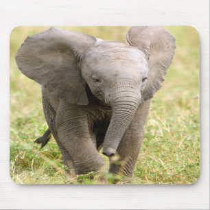 Elephant Baby Mousepad