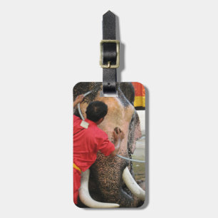 Elephant Bathtime ... Ayutthaya, Thailand Gepäckanhänger