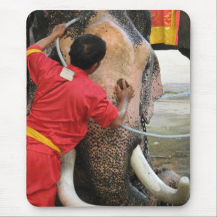 Elephant Bathtime ... Ayutthaya, Thailand Mousepad