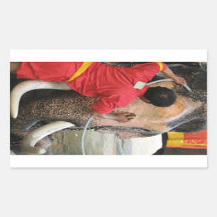 Elephant Bathtime ... Ayutthaya, Thailand Rechteckiger Aufkleber