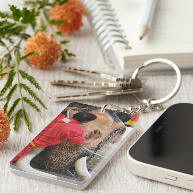 Elephant Bathtime ... Ayutthaya, Thailand Schlüsselanhänger (Vorderseite rechts)