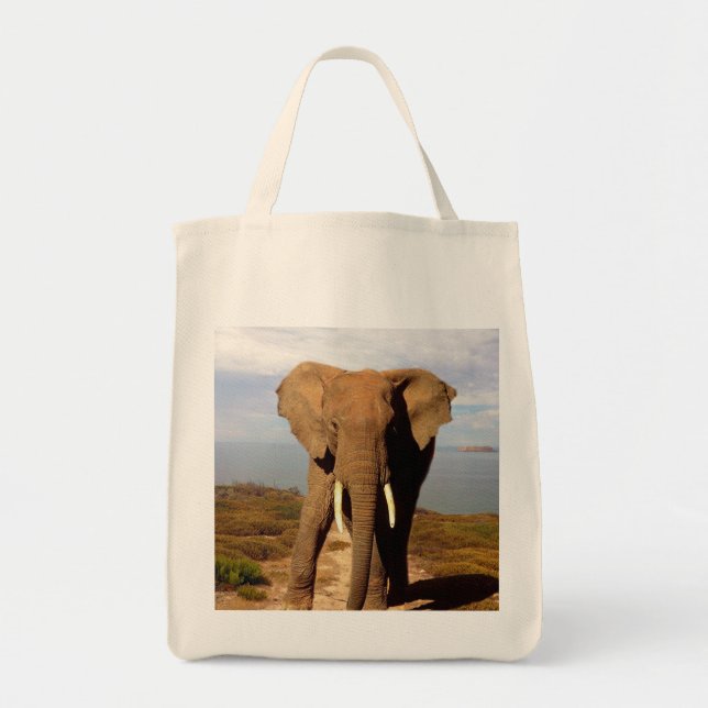 Elephant Beach Day Outing, Tragetasche (Vorne)