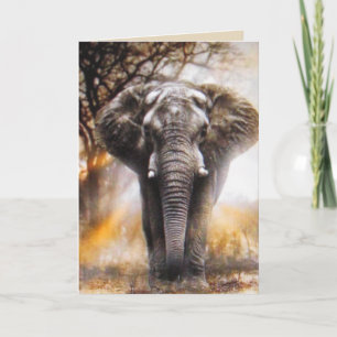 Elephant Birthday Card Karte