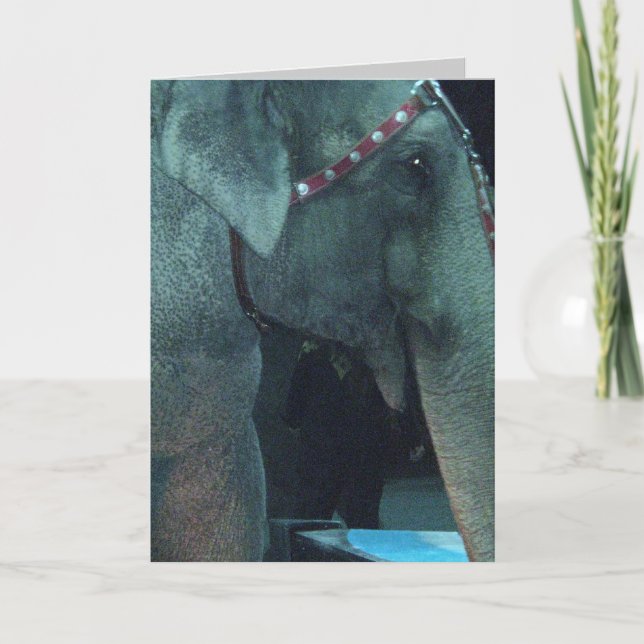 ELEPHANT BIRTHDAY-Karte Karte (Vorderseite)