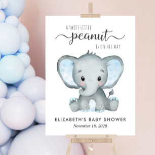 Elephant Blue Watercolor Baby Boy Dusche Acrylschild