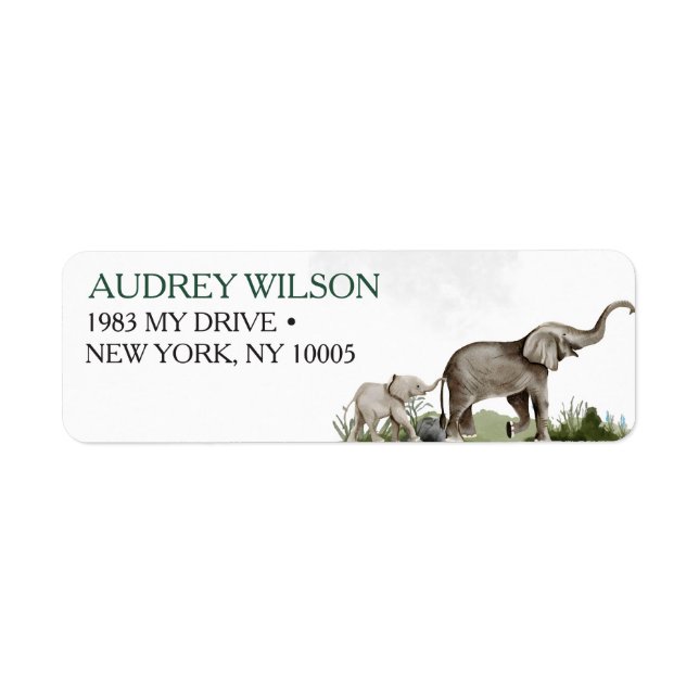 Elephant Boy Baby Shower (Vorne)