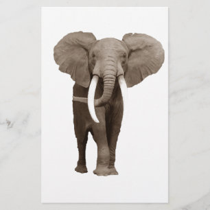 Elephant Briefpapier