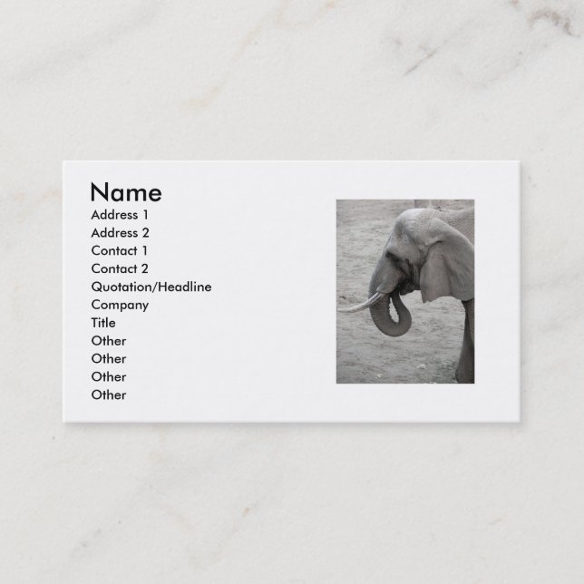 Elephant Business Card Visitenkarte (Vorderseite)