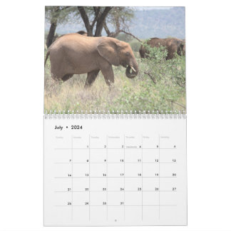 Elephant Calendar Kalender