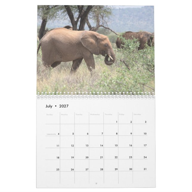 Elephant Calendar Kalender (Jul 2027)