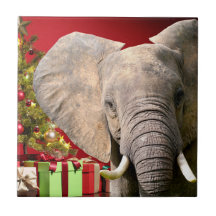 Elephant Christmas Greetings