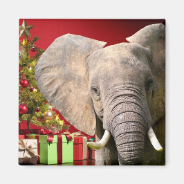 Elephant Christmas Greetings Magnet