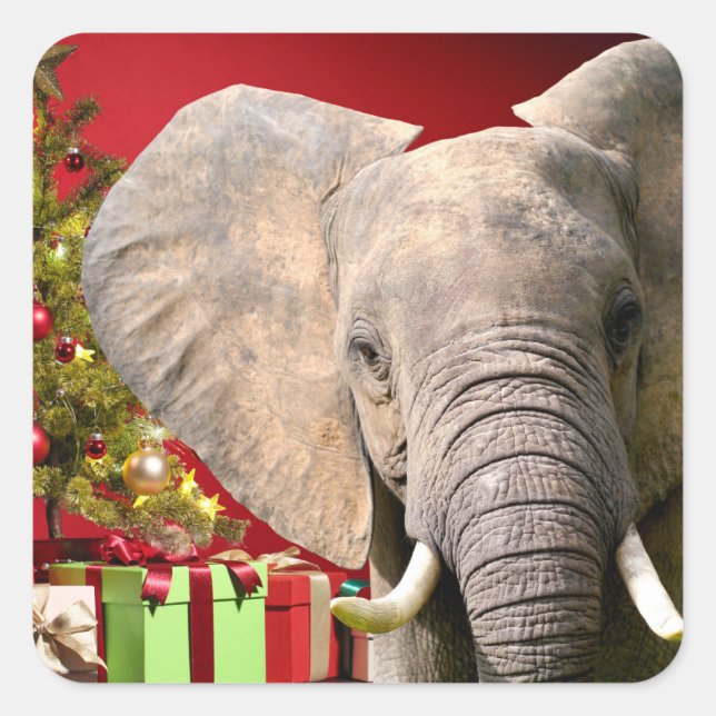 Elephant Christmas Greetings Quadratischer Aufkleber (Vorderseite)
