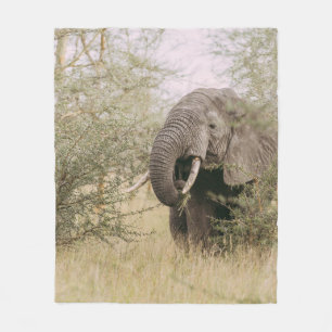 ELEPHANT, DER VON EINEM BAUM ESSEN WIRD FLEECEDECKE