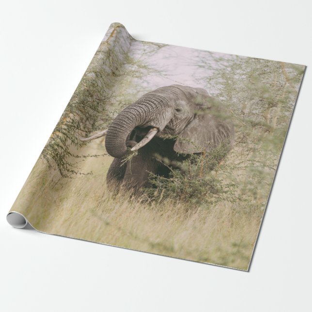 ELEPHANT, DER VON EINEM BAUM ESSEN WIRD GESCHENKPAPIER (Ungerollt)