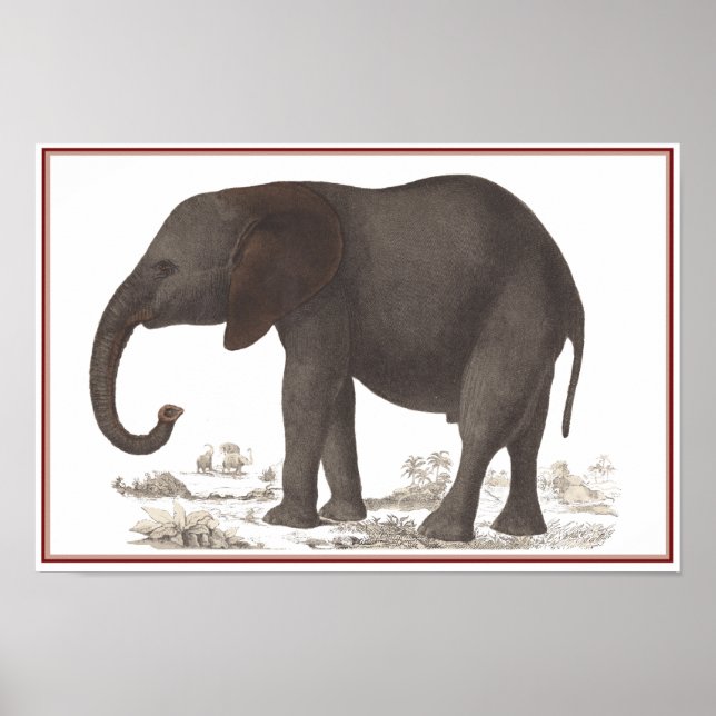ELEPHANT DRINT POSTER (Vorne)