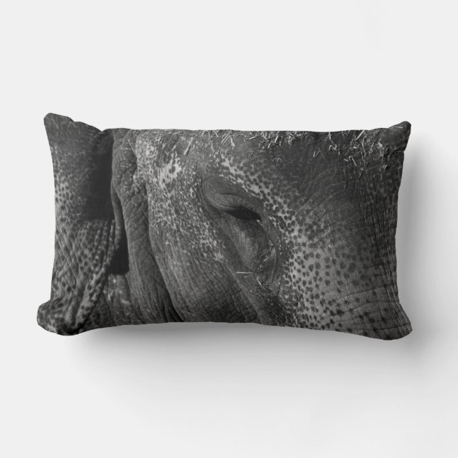 Elephant Eye Pillow Lendenkissen (Vorderseite)