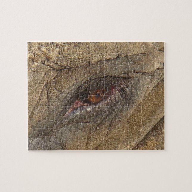 Elephant Eye Puzzle (Horizontal)