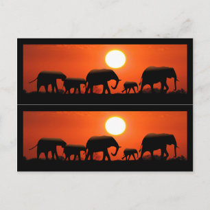 Elephant Family Book Markers Postkarte