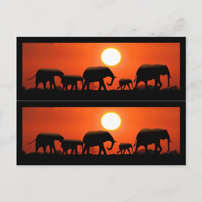 Elephant Family Book Markers Postkarte (Vorderseite)