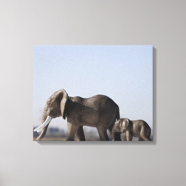Elephant Family Hintergrund Blau Himmel Leinwanddruck (Vorderseite)