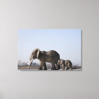 Elephant Family Hintergrund Blau Himmel Leinwanddruck