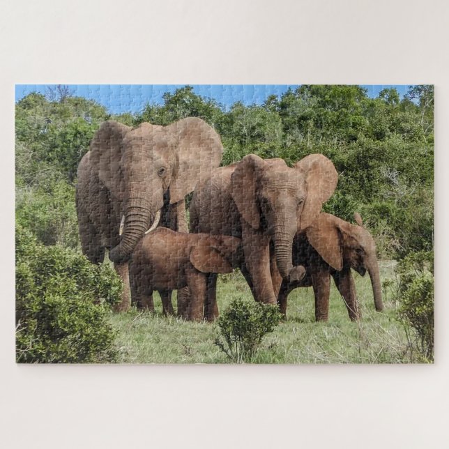 Elephant Family Jigsaw Puzzle (Horizontal)