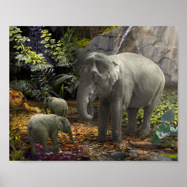 Elephant Family REGENWALD-PARTY Poster (Vorne)