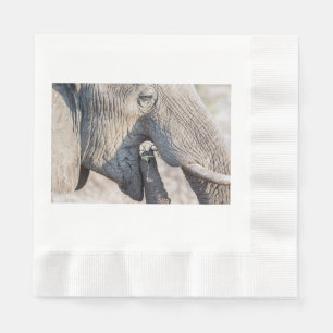 Elephant feeding serviette