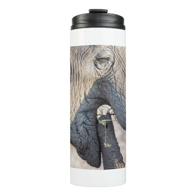 Elephant Feeding Thermosbecher (Vorderseite)