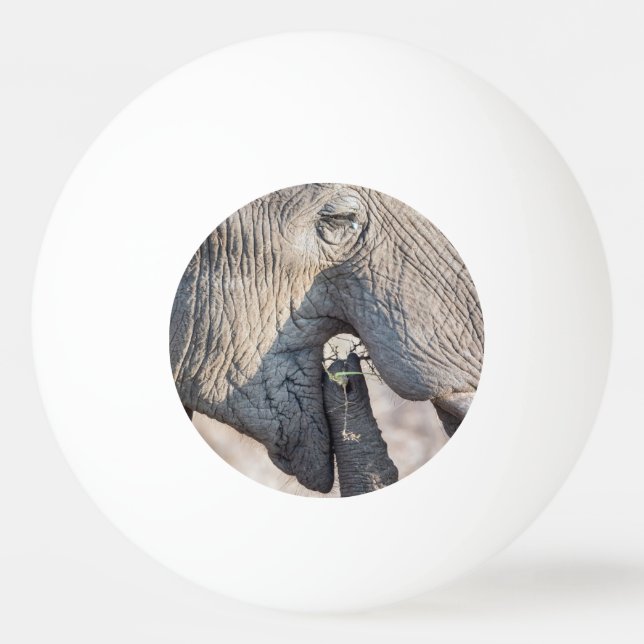 Elephant Feeding Tischtennisball (Rückseite)