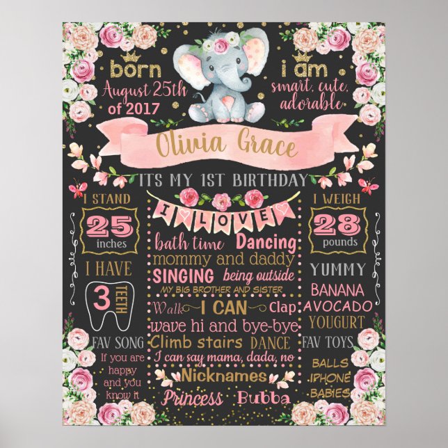 Elephant Floral First Birthday Board-Zeichen Poster (Vorne)