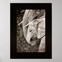 Elephant Foto African Art PORTFOLIO Größe