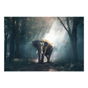 Elephant Foto Print