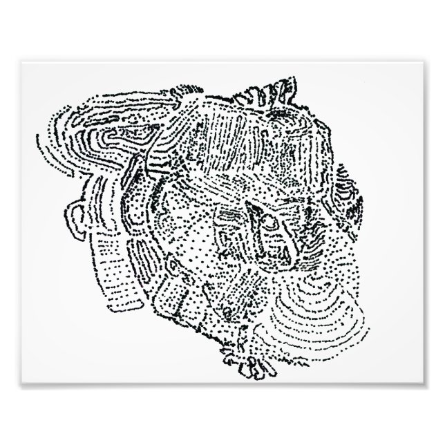 Elephant Fotodruck (Vorne)