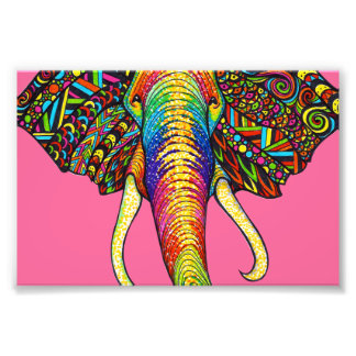 Elephant Fotodruck