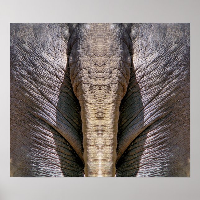 ELEPHANT FUN POSTER (Vorne)