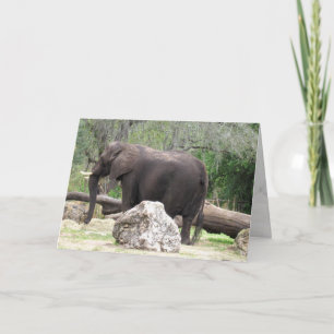 Elephant Grußkarte (0390) Karte
