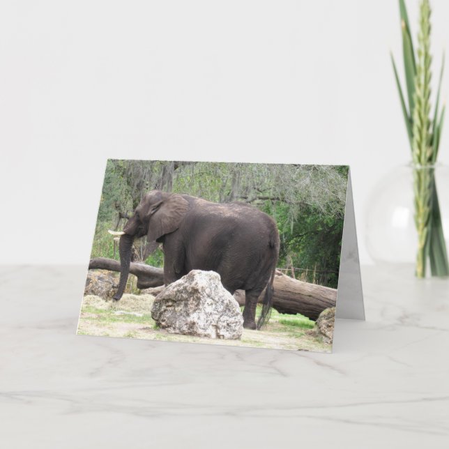 Elephant Grußkarte (0390) Karte (Vorderseite)