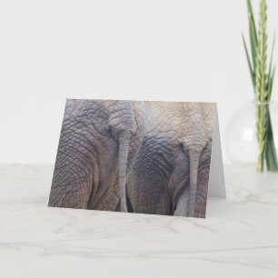 Elephant Grußkarte Karte