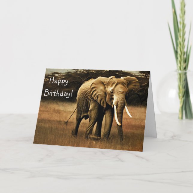 Elephant Happy Birthday! Dankeskarte (Vorderseite)
