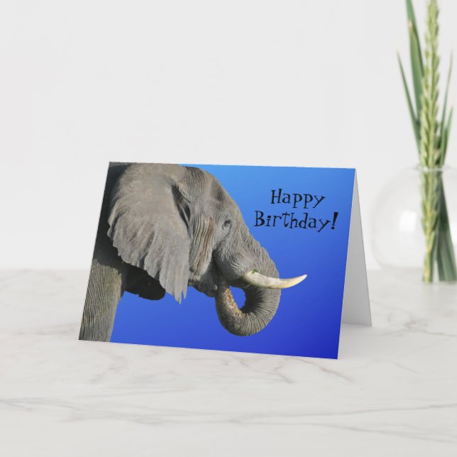 Elephant Happy Birthday Funny Age Blue und Grau Karte (Vorderseite)