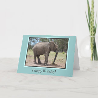 Elephant Happy Birthday Karte