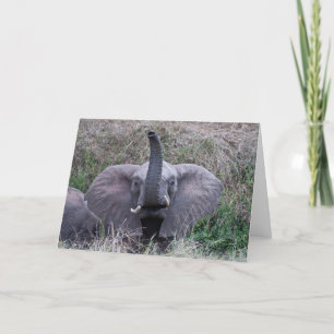 Elephant Hello Card Karte
