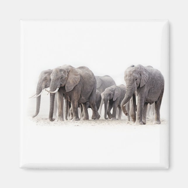 Elephant Herd Magnet (Vorne)