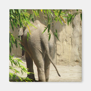 Elephant Hintern Magnet